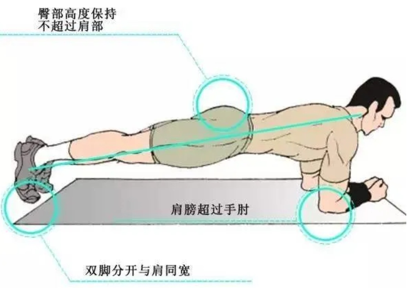 标准的平板支撑是这么做的