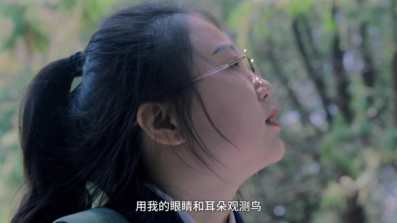 配图2.jpg