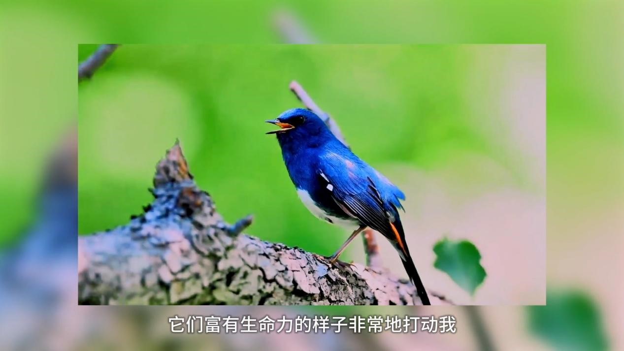 配图3.jpg